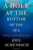 Portada de A HOLE AT THE BOTTOM OF THE SEA: THE RACE TO KILL THE BP OIL GUSHER BY JOEL ACHENBACH (2011-04-05)