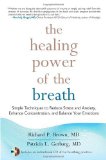 Portada de THE HEALING POWER OF THE BREATH: SIMPLE TECHNIQUES TO REDUCE STRESS AND ANXIETY, ENHANCE CONCENTRATION, AND BALANCE YOUR EMOTIONS BY BROWN, RICHARD P., GERBARG, PATRICIA L. (2012) PAPERBACK