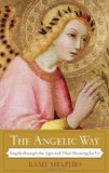 Portada de THE ANGELIC WAY: ANGELS THROUGH THE AGES AND THEIR MEANING FOR US BY SHAPIRO, RAMI (2009) PAPERBACK