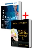 Portada de PACK ANATOMÍA: NETTER + GRAY