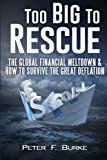 Portada de TOO BIG TO RESCUE: THE GLOBAL FINANCIAL MELTDOWN & HOW TO SURVIVE THE GREAT DEFLATION BY PETER BURKE (2015-02-17)