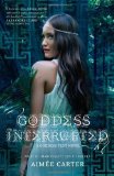 Portada de GODDESS INTERRUPTED BY CARTER, AIMEE (2012) PAPERBACK