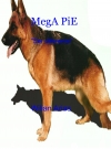 Portada de MEGA PIE