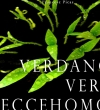 Portada de VERDANC VERS ECCEHOMO